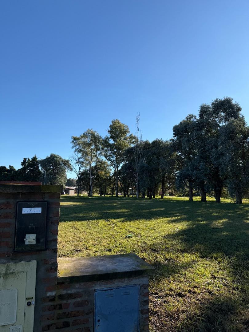 Foto de Terreno de 900 m2 en Torres, lado bueno., imagen 5