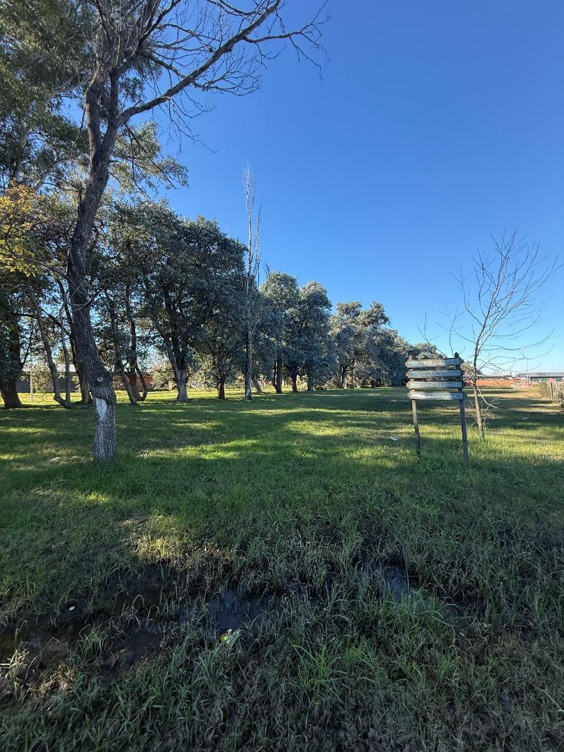 Terreno de 900 m2 en Torres, lado bueno.