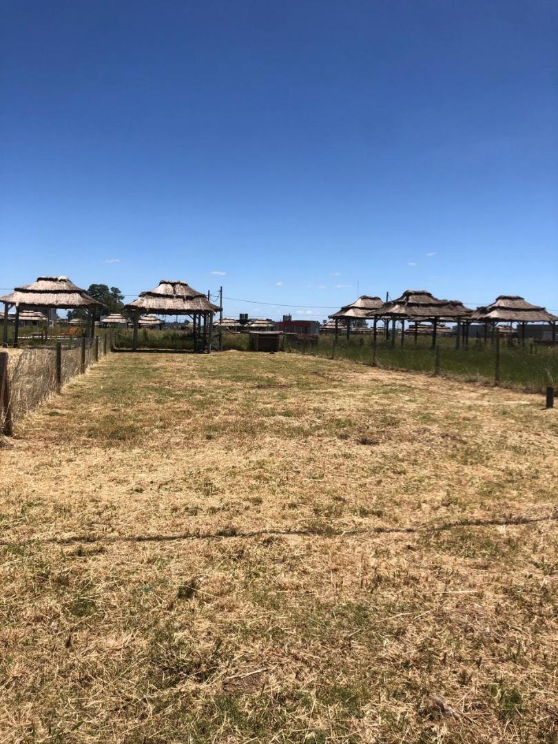 Foto de Lotes residenciales en entorno privado – Precio por 1 lote, imagen 3