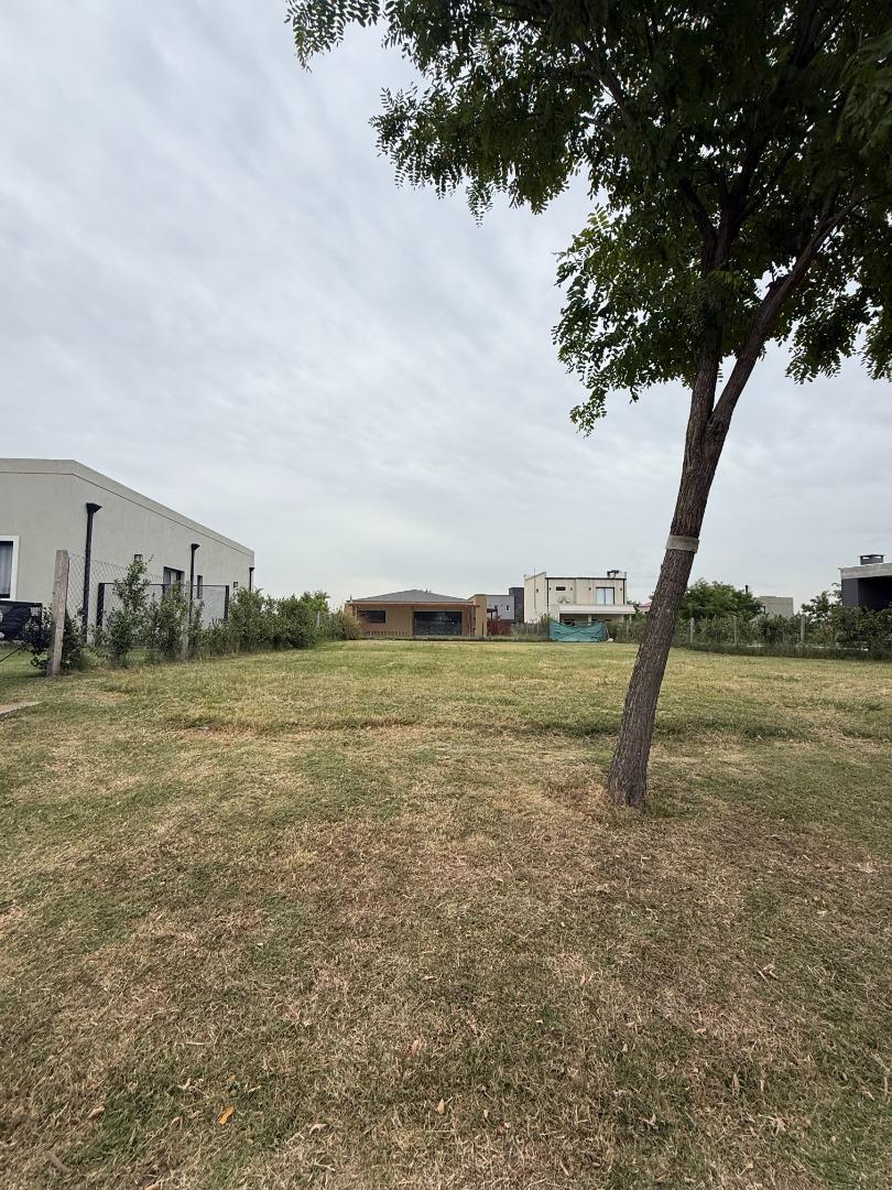 Lote en Barrio San Pablo! Totalmente consolidado.