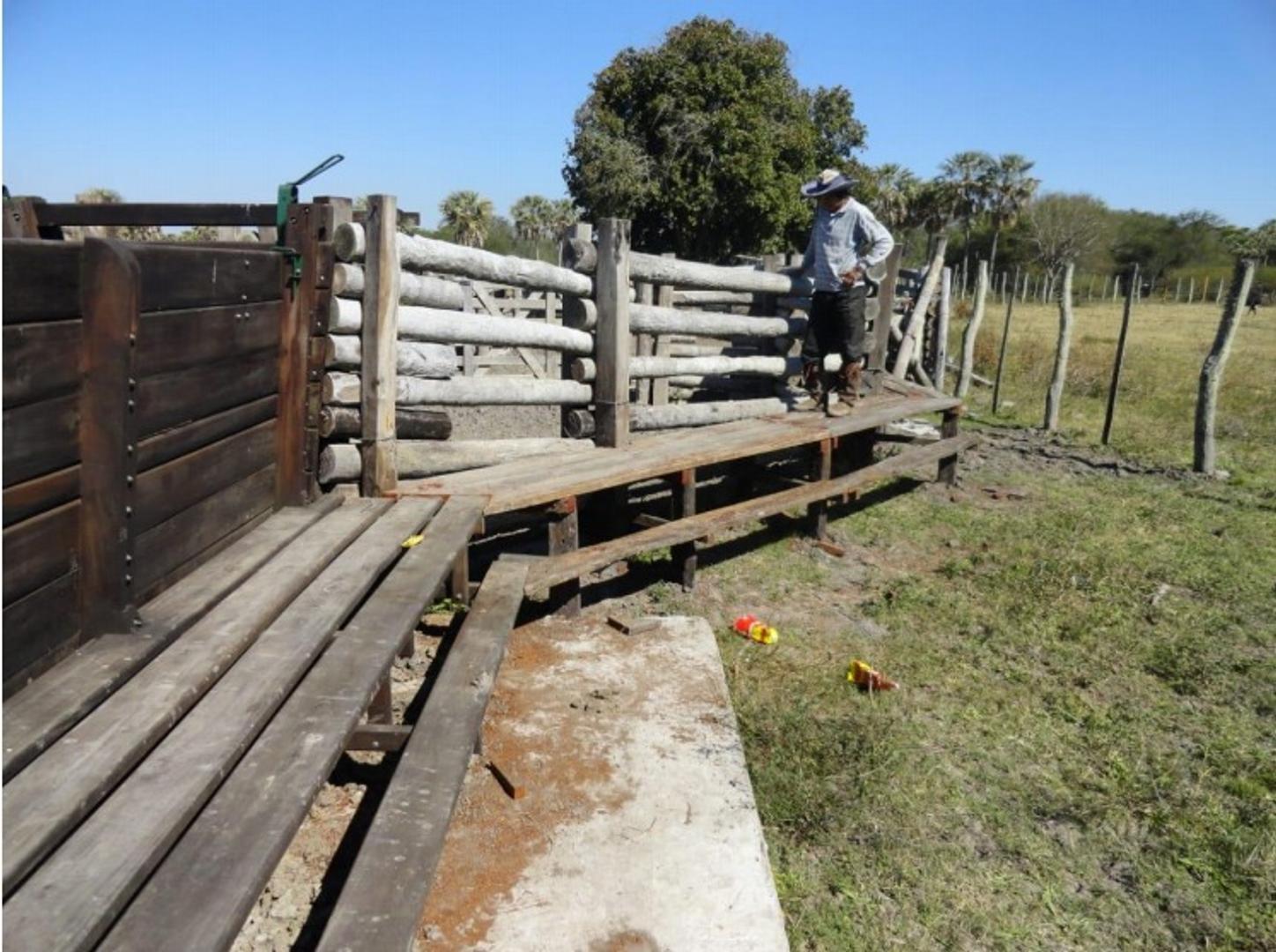 INVERSIÓN AGROPECUARIA - 3.200 Hectáreas FORMOSA