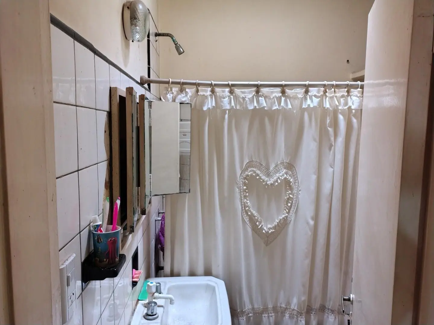 Casa con galpón al fondo 4