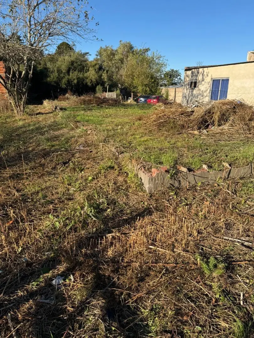 VENTA DE LOTE EN LA PALOMITA 4