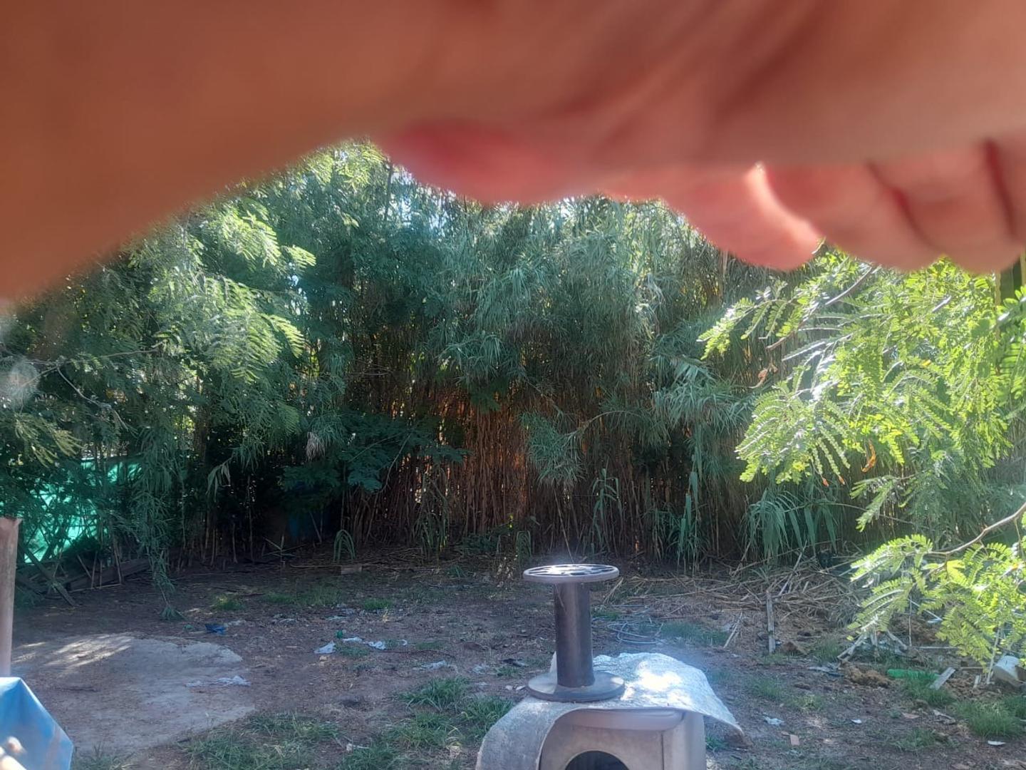 Foto de CASA A TERMINAR, imagen 2