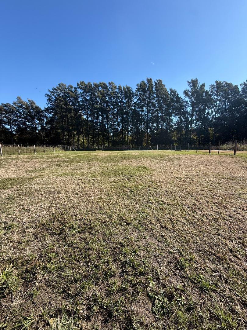 Terreno 800 m2 Diego Gaynor.