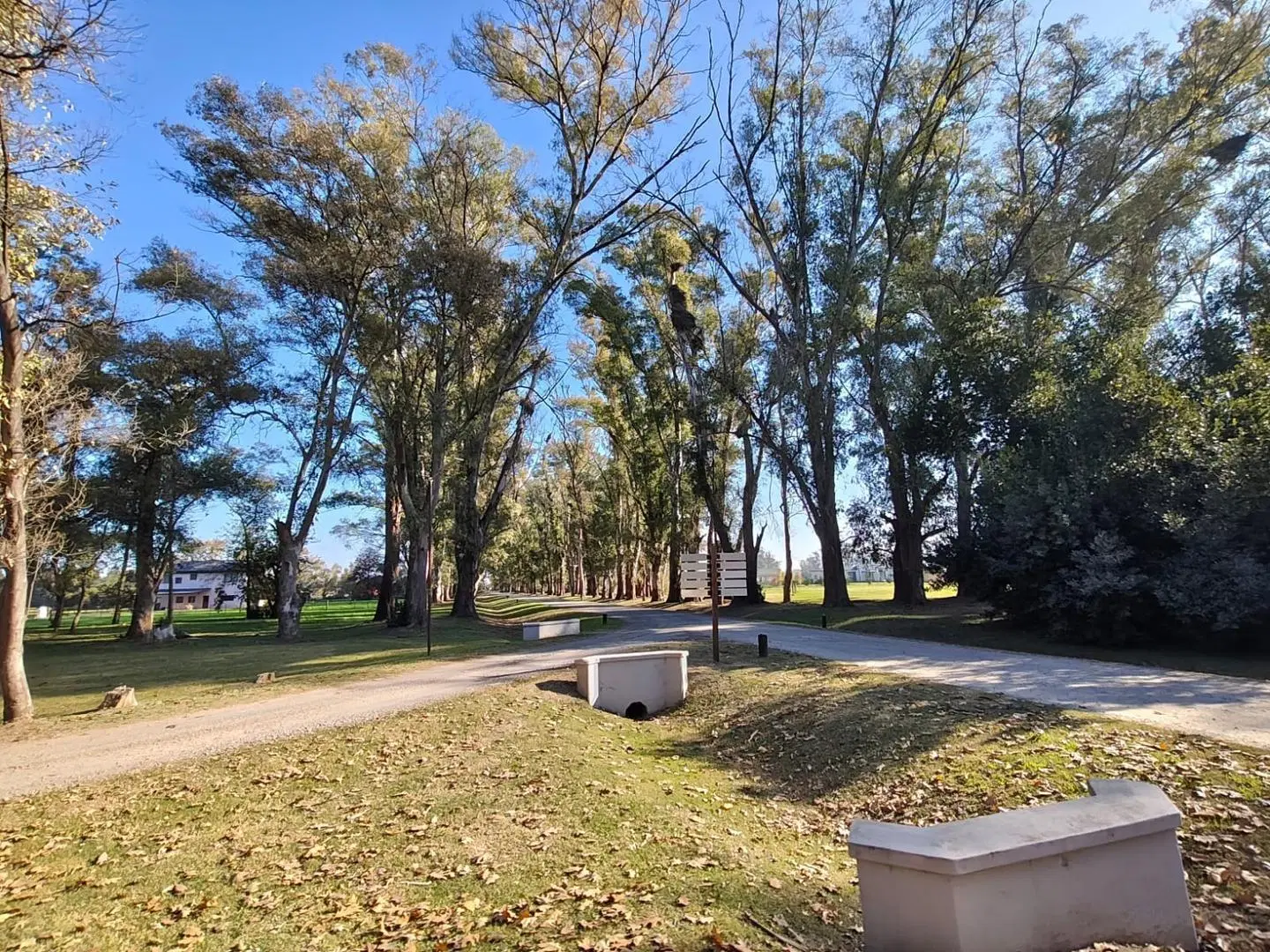 VENTA DE LOTES CHACRAS DE SAN ANDRES VILLA RUIZ 4