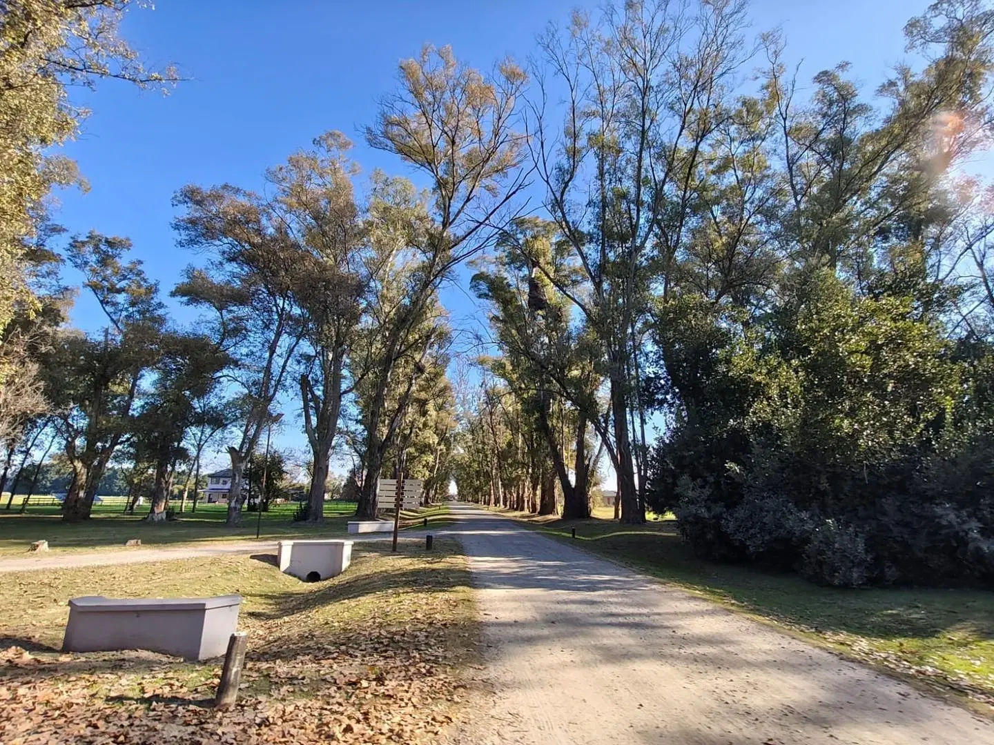 VENTA DE LOTES CHACRAS DE SAN ANDRES VILLA RUIZ 2