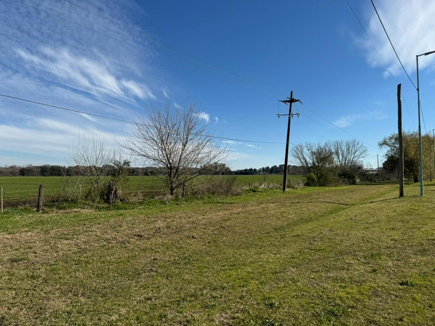 Foto de Venta de Campo en Cortines, imagen 3