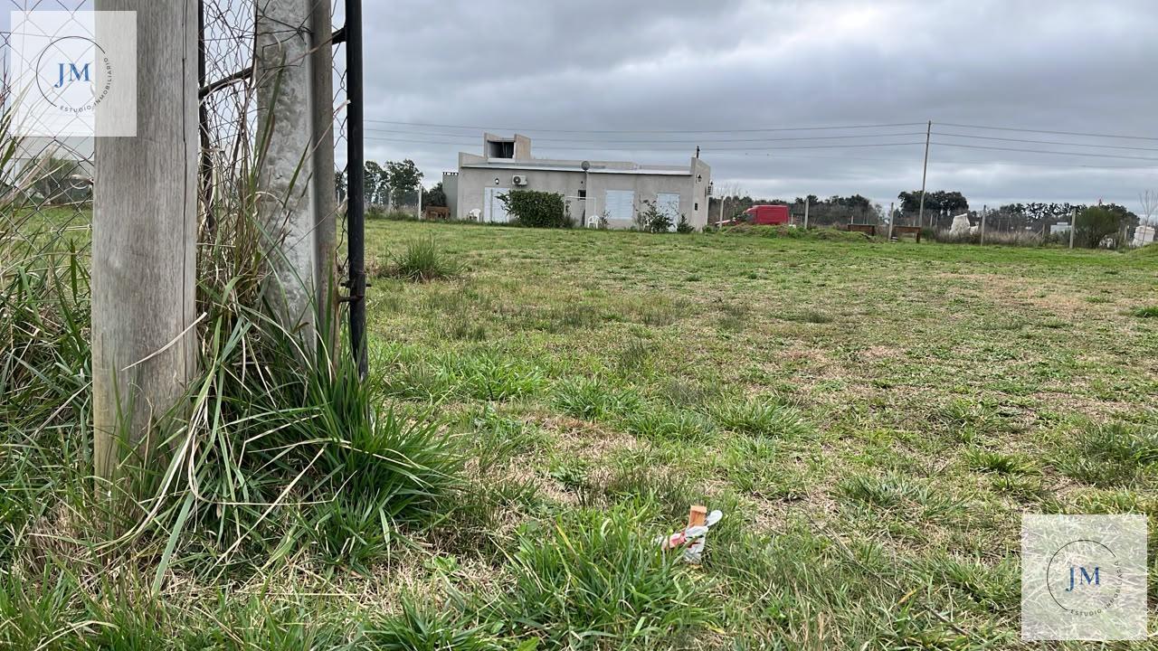 Foto de Terreno en Chivilcoy, imagen 3
