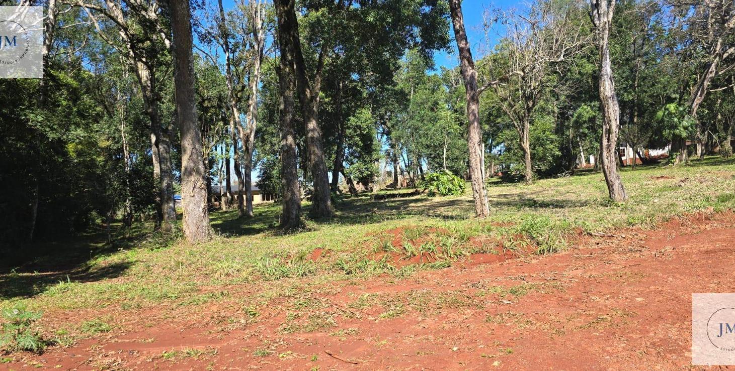 Foto de si, imagen 5