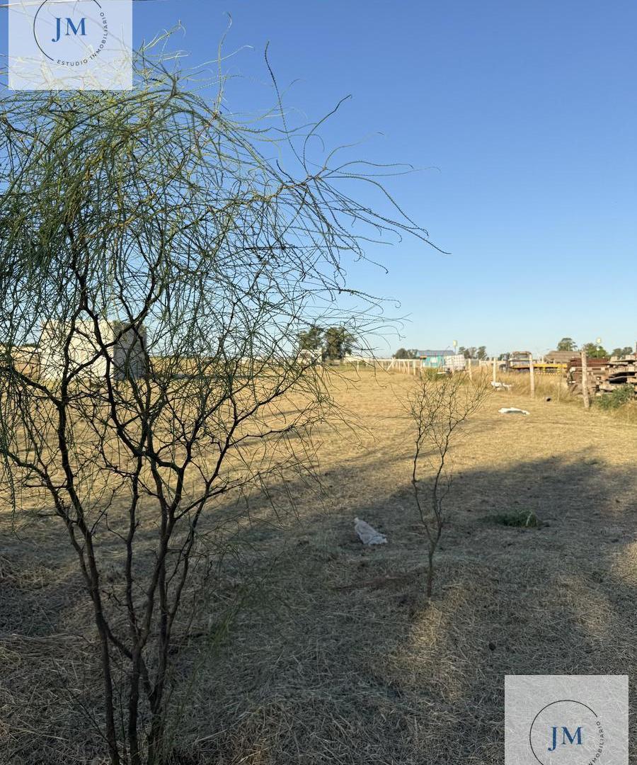 Foto de Terreno en venta de 1300 m2 en General Rodriguez, imagen 2