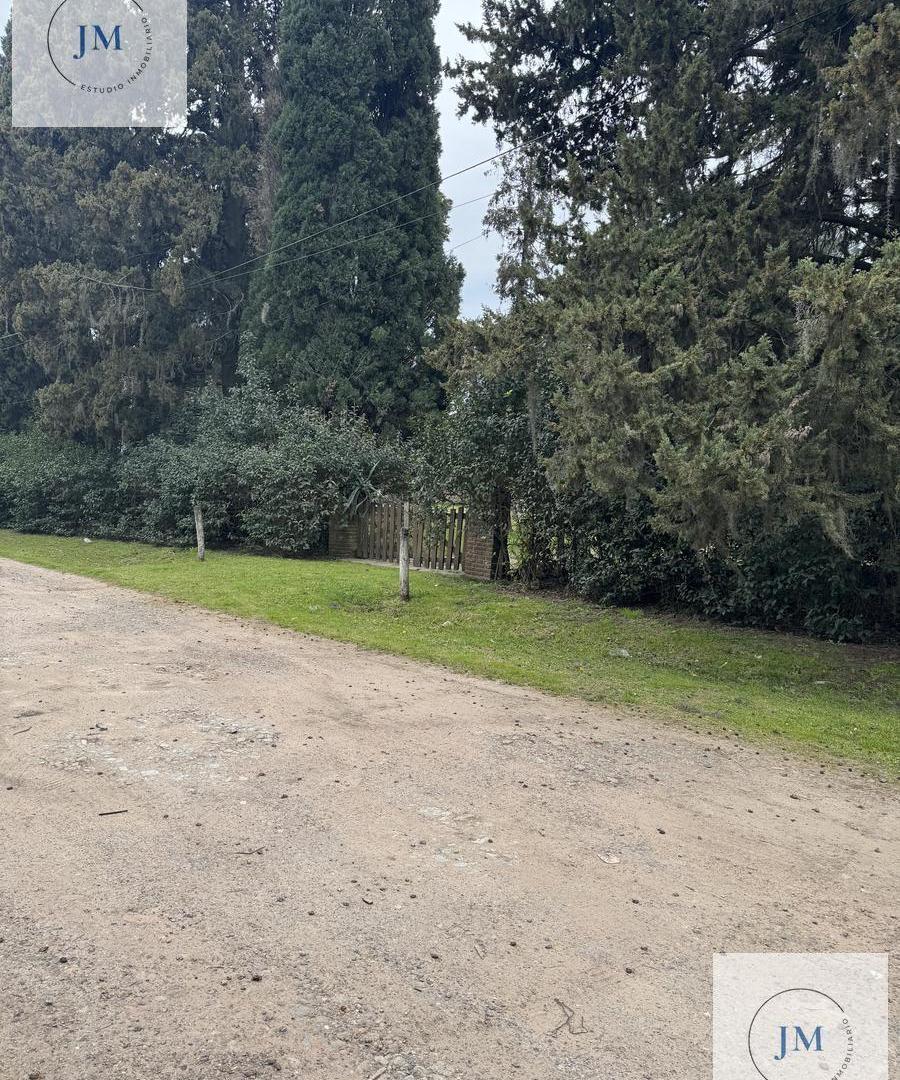 Foto de Terreno con construccion en venta en Moreno de 1123,25 m2, imagen 2