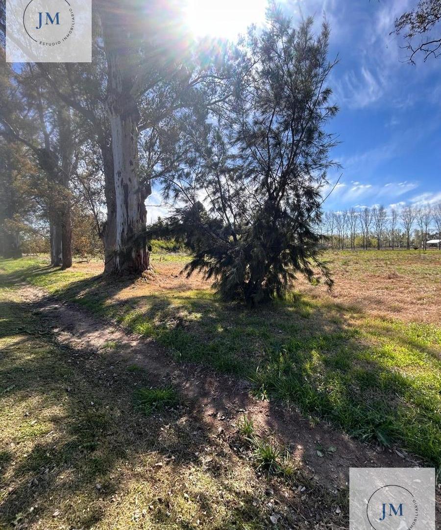Foto de Terreno en Altos de Mercedes, imagen 1