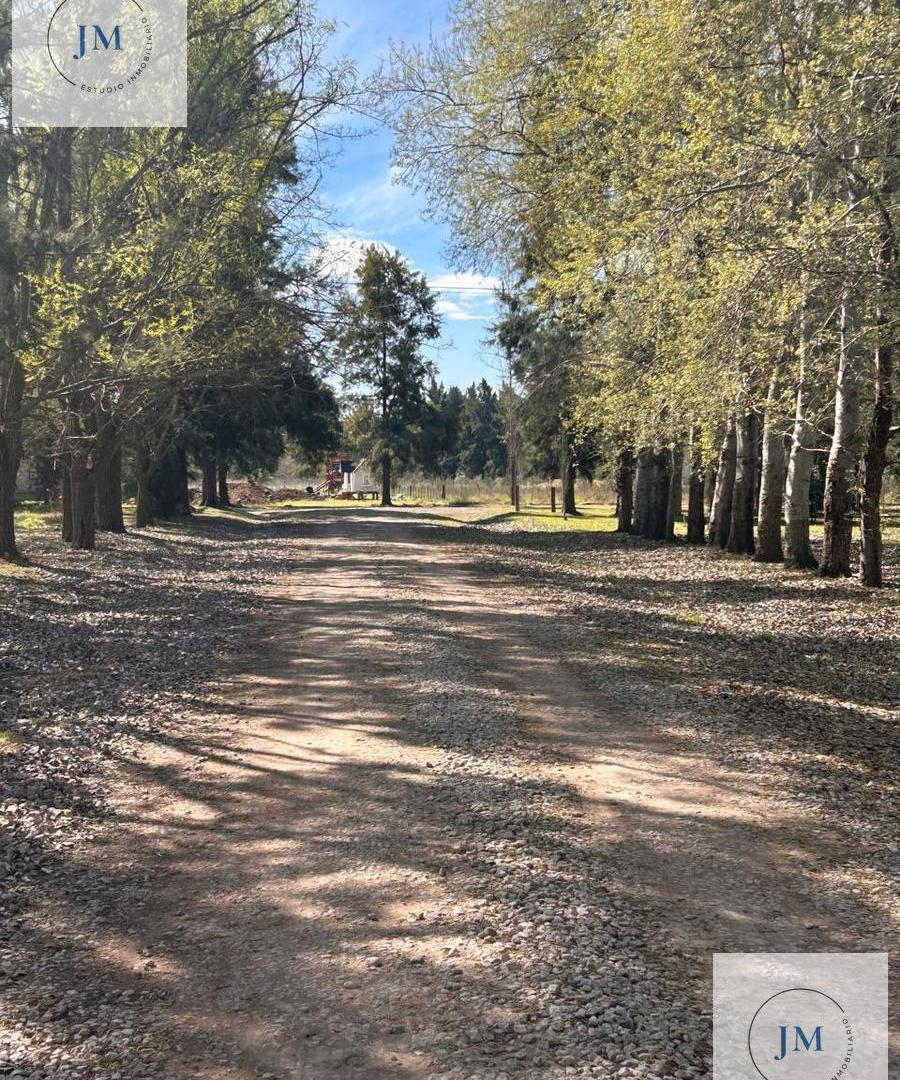 Foto de Terreno en Altos de Mercedes, imagen 3