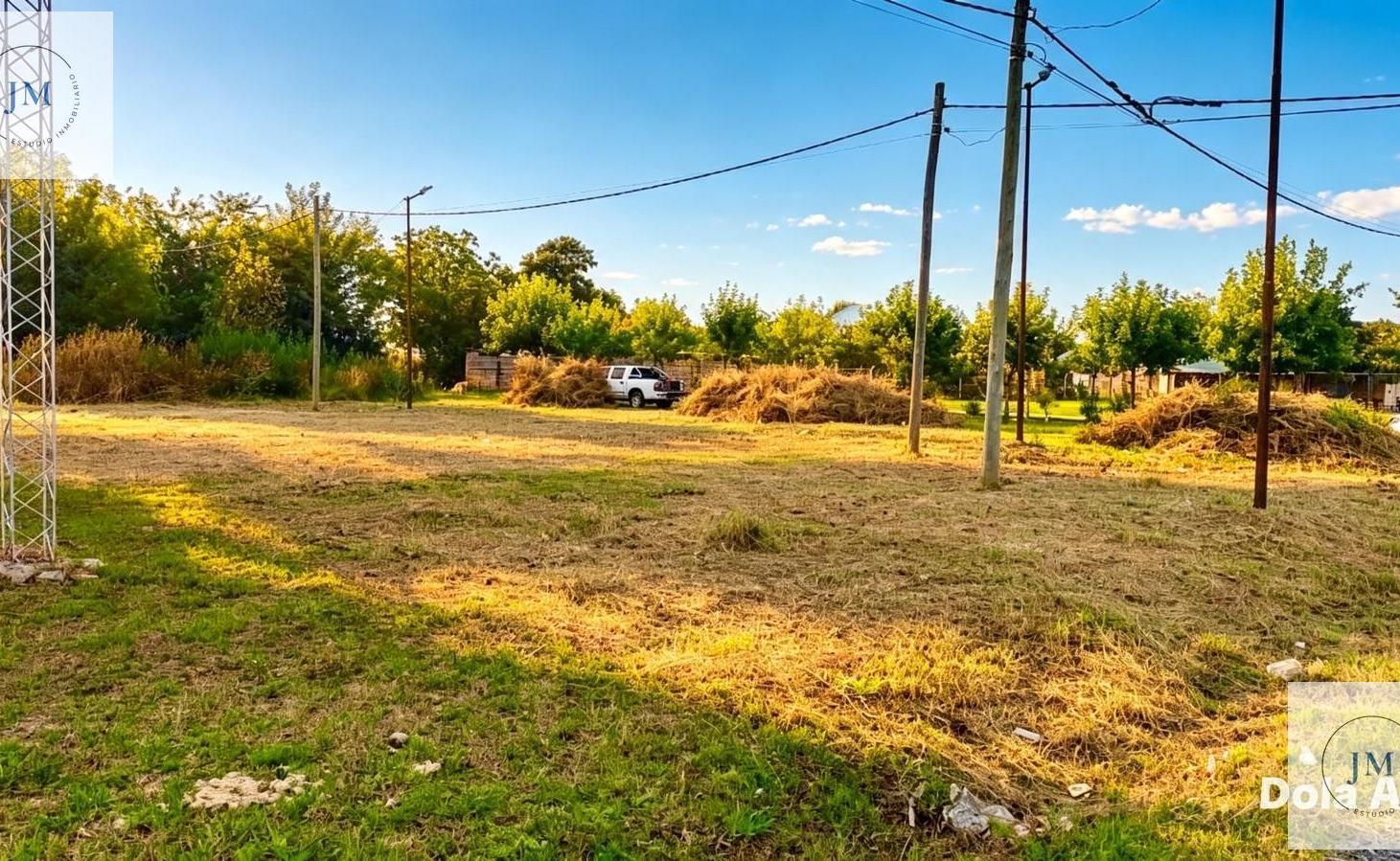 Foto de Terreno en Chivilcoy, imagen 3