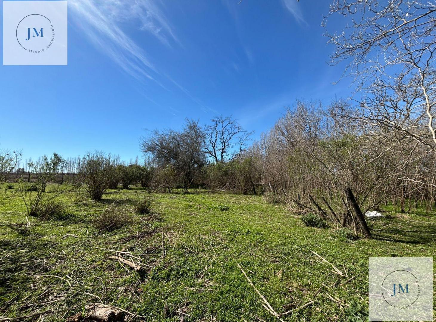 Foto de Inversión y naturaleza en Carmen de Areco., imagen 5
