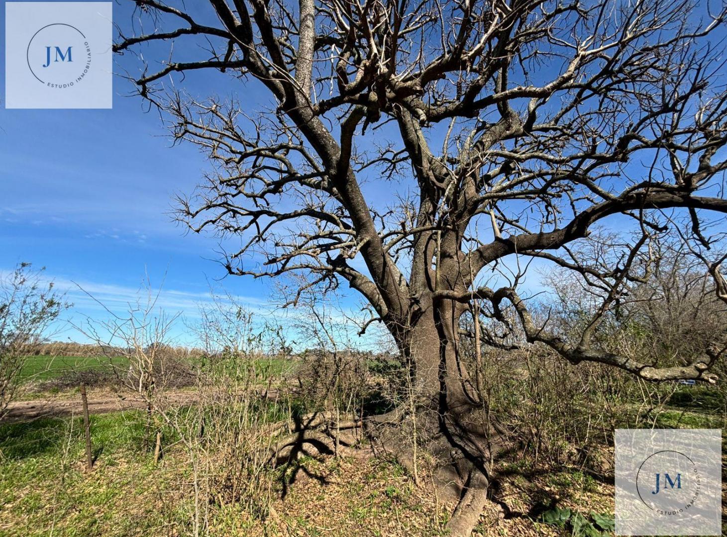 Foto de Inversión y naturaleza en Carmen de Areco., imagen 3