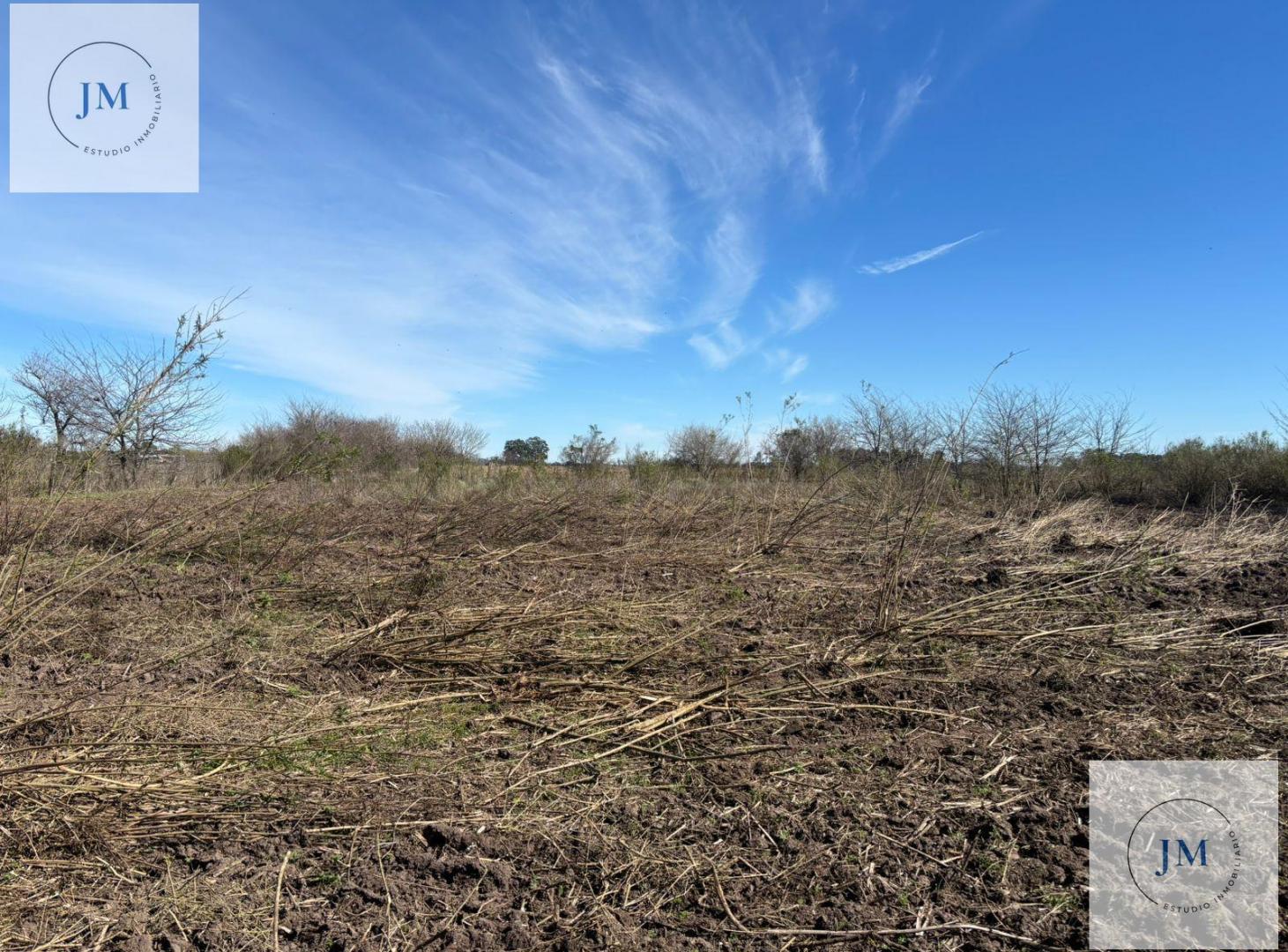 Foto de Inversión y naturaleza en Carmen de Areco., imagen 4