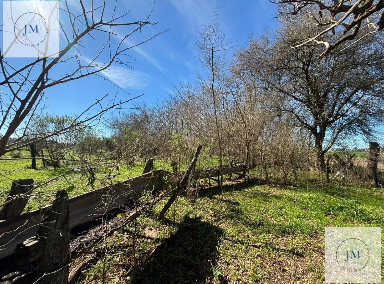 Foto de Inversión y naturaleza en Carmen de Areco., imagen 2