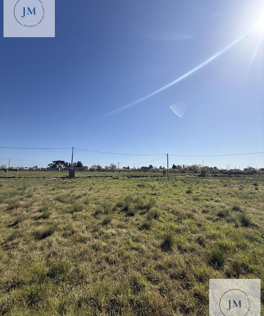 Foto de Venta Lote/Terreno en Zelaya 3., imagen 4