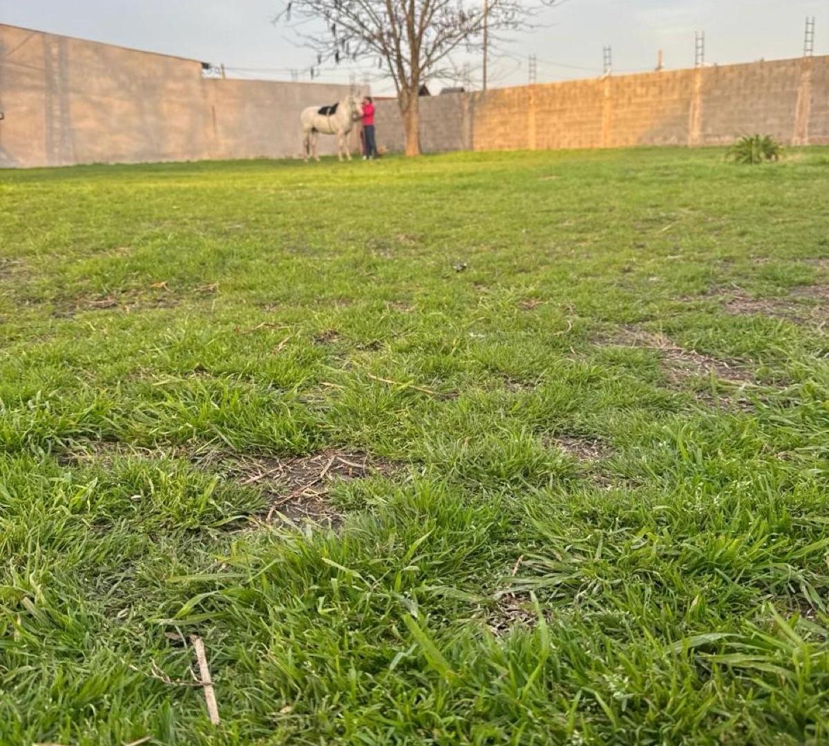 Foto de Quinta - Pontevedra, imagen 4
