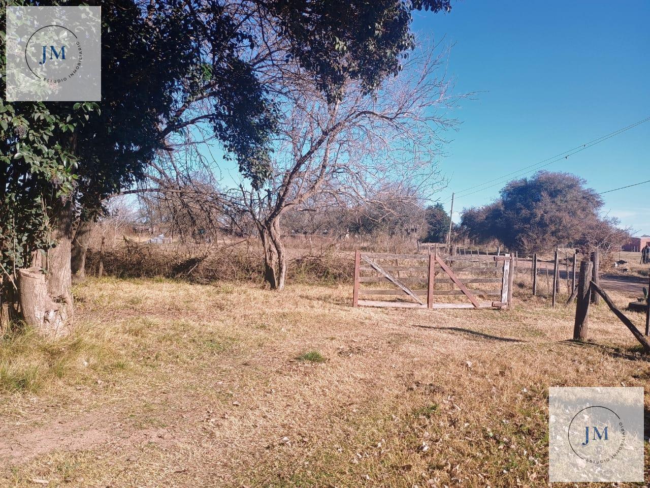Foto de Casa sobre Gran Fracción de 3821m² - Ideal Loteo o Destino, imagen 4