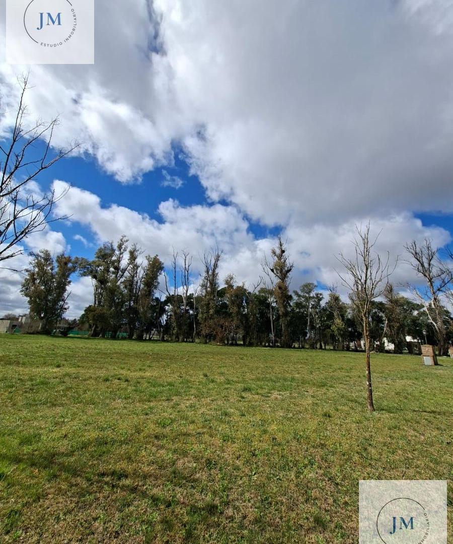 Foto de Terreno en venta Barrio La Asunción, imagen 3