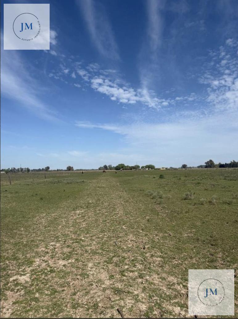 Foto de Venta Terreno Loteo 2000 m2 Villa Espil, imagen 2