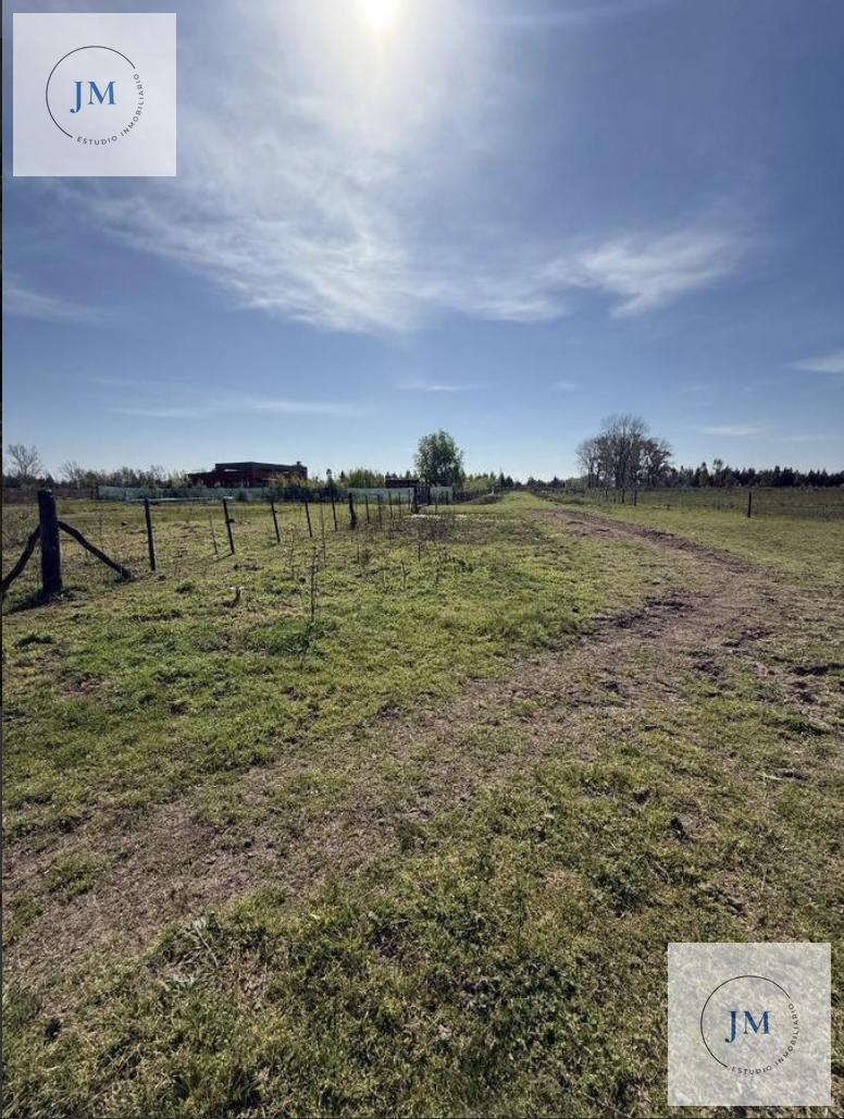 Foto de Venta Terreno Loteo 2000 m2 Villa Espil, imagen 4