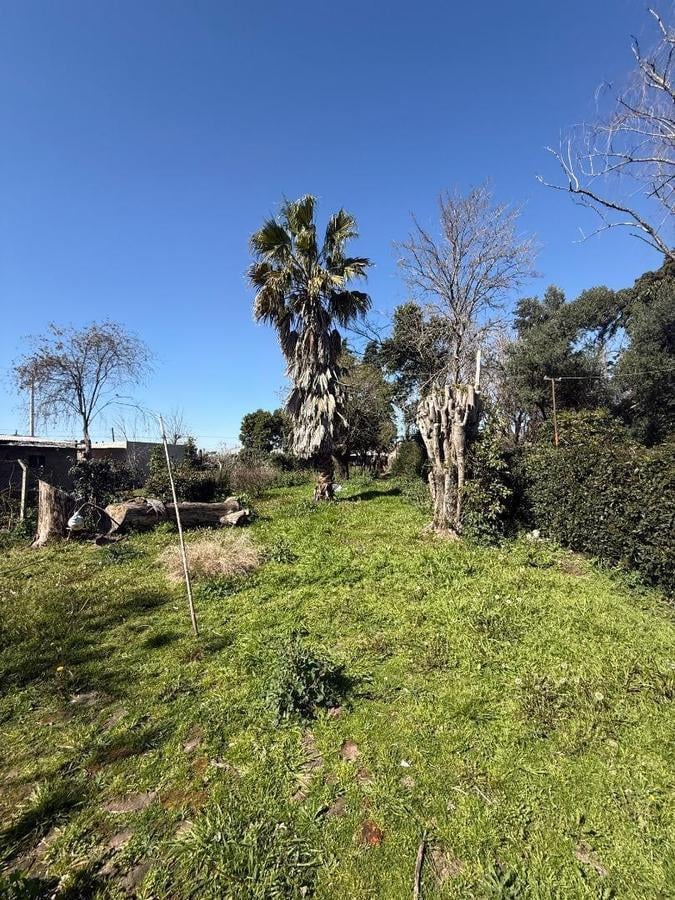 Foto de Casa en venta en Torres a refaccionar Lujan., imagen 4