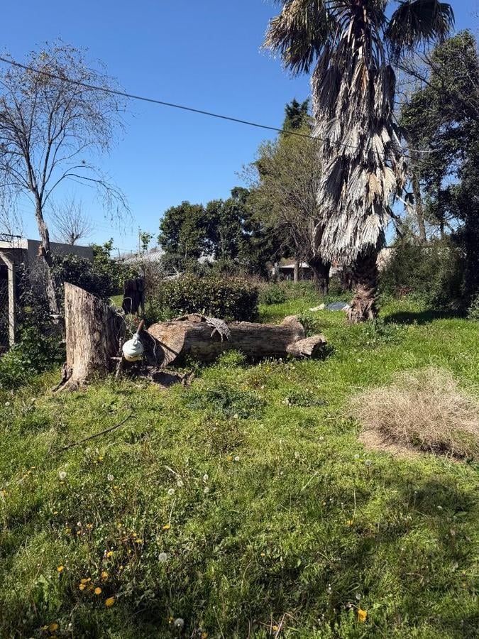 Foto de Casa en venta en Torres a refaccionar Lujan., imagen 5