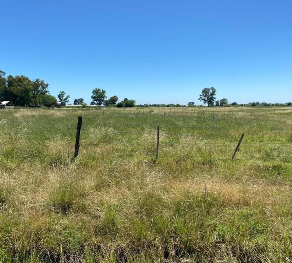 Campo Hectarea 100x120 m. Marcos Paz. Ideal quinta.