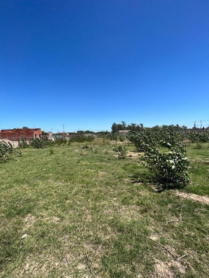 Foto de Lotes en Chivilcoy, escriturables! Barrio en Pleno Crecimiento., imagen 3