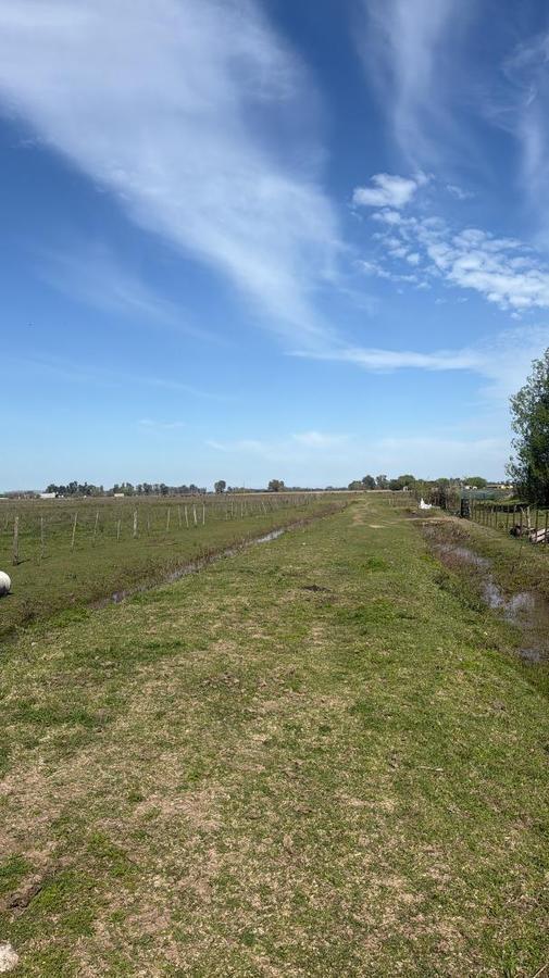 Foto de Venta Terreno / Lote Villa Espil 2000m2, imagen 5