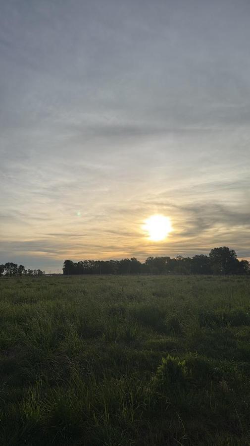 Foto de Venta Terreno / Lote Villa Espil 2000m2, imagen 5