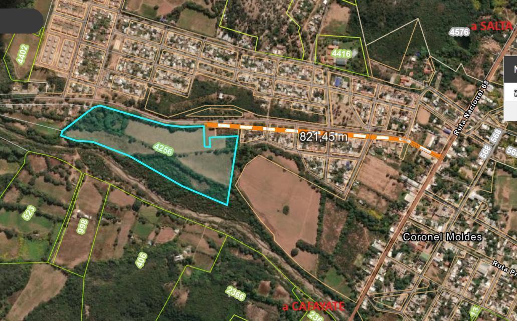 Campo de 11 has en Coronel Moldes Salta