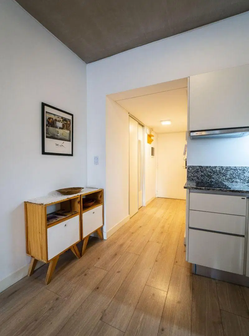 Departamento Monoambiente con Terraza y parrilla propia, completamente amoblado 4