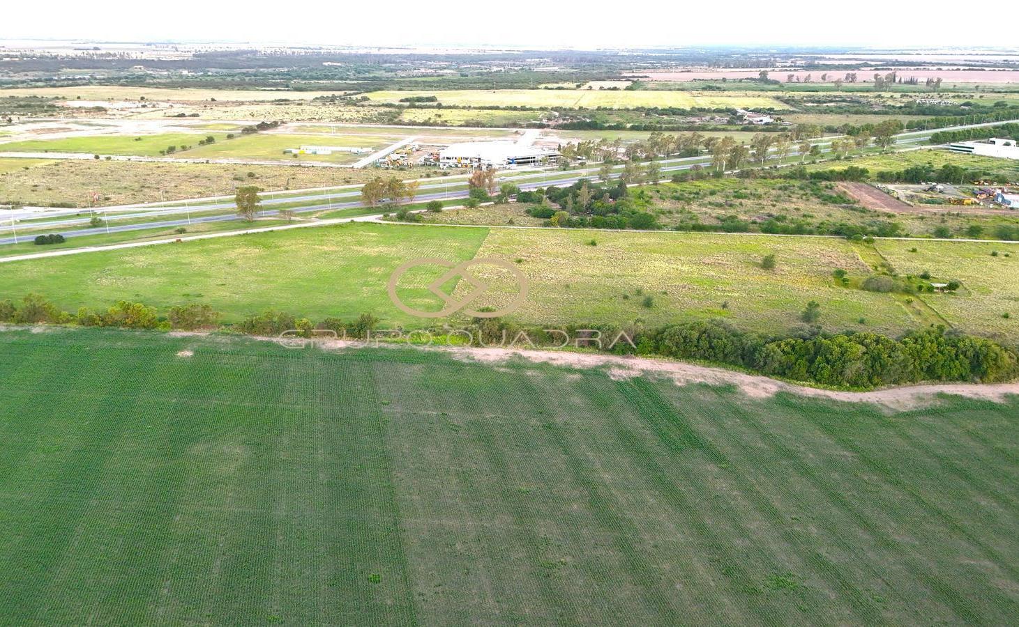 Foto de VENTA LOTE 34.763 m2 SOBRE COLECTORA AUTOPISTA CORDOBA - ROSARIO A 900, imagen 4