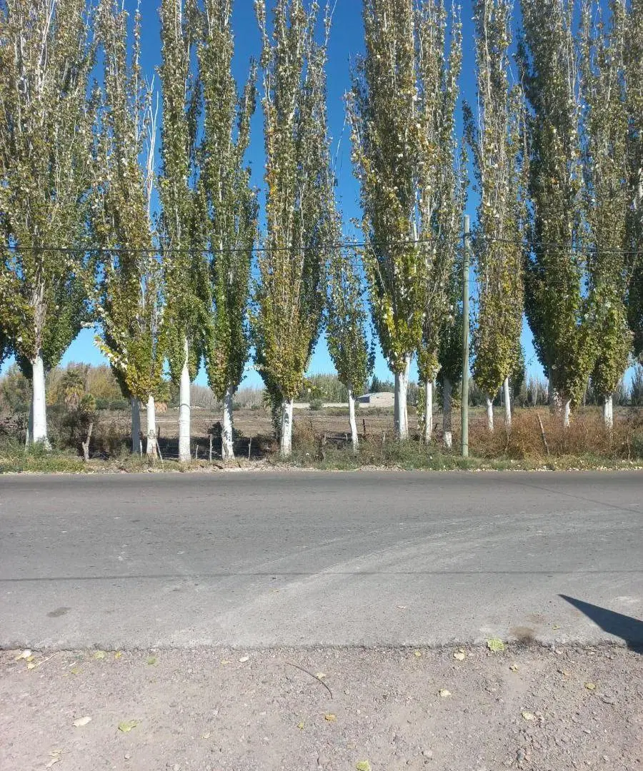 Terreno 500 M2 en condominio en Calle Milagros y Ferrari Colonia Segovia Guaymallen 3