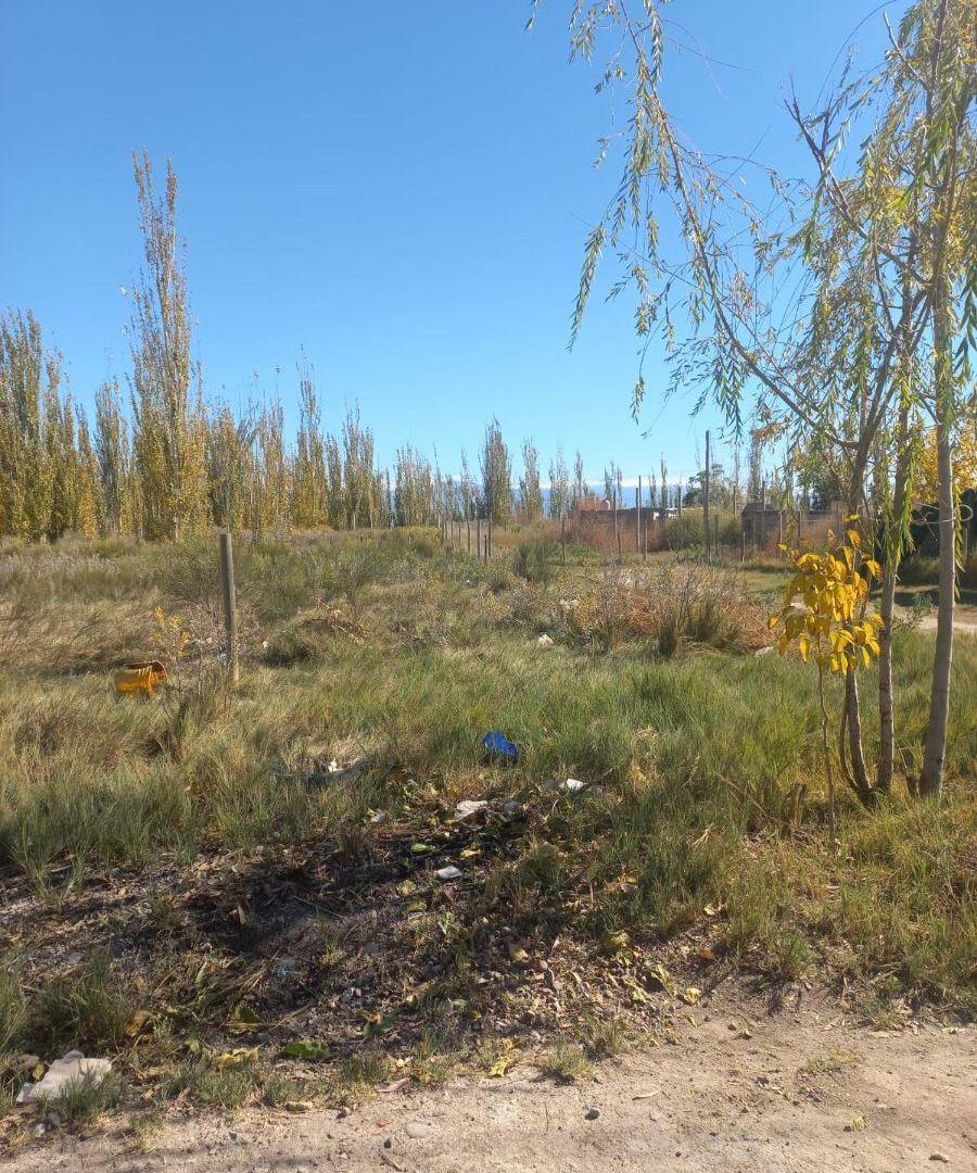 Foto de Terreno 500 M2 en condominio en Calle Milagros y Ferrari Colonia, imagen 5