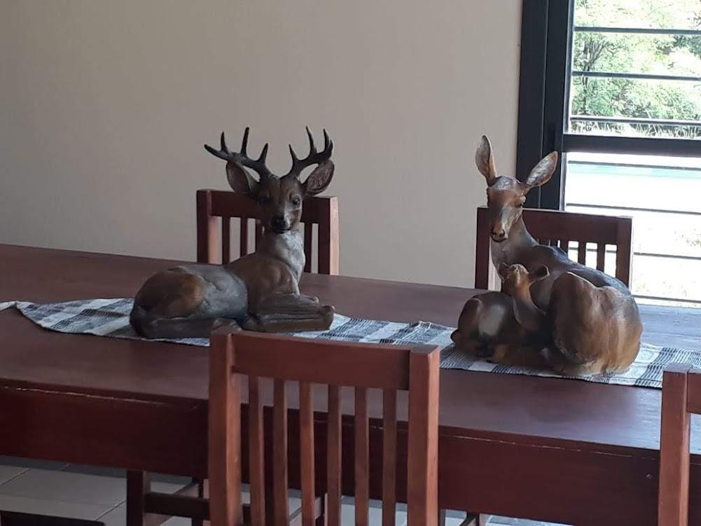 Excelente Casa Grande en Merlo San Luis 1