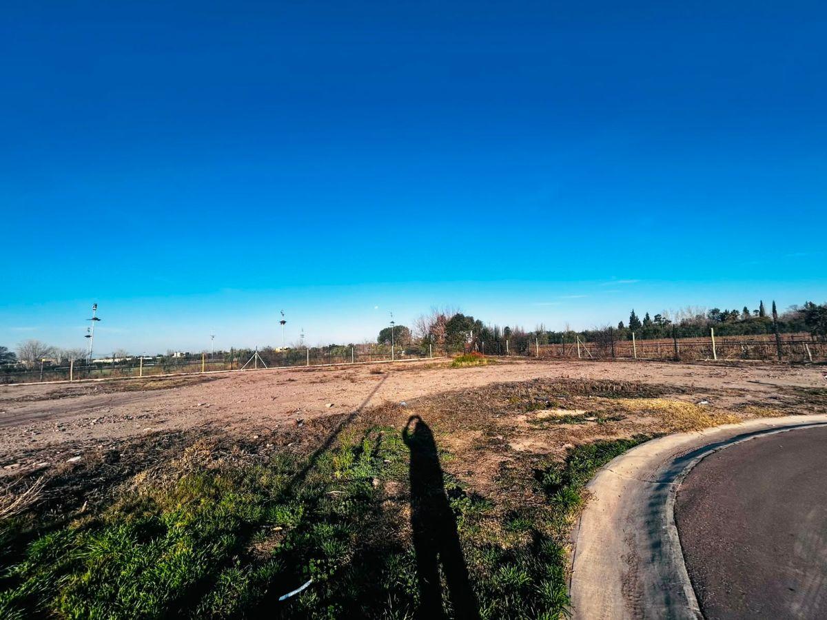 Foto de SUAREZ & ORTEGA INMOBILIARIA VENDE, imagen 1