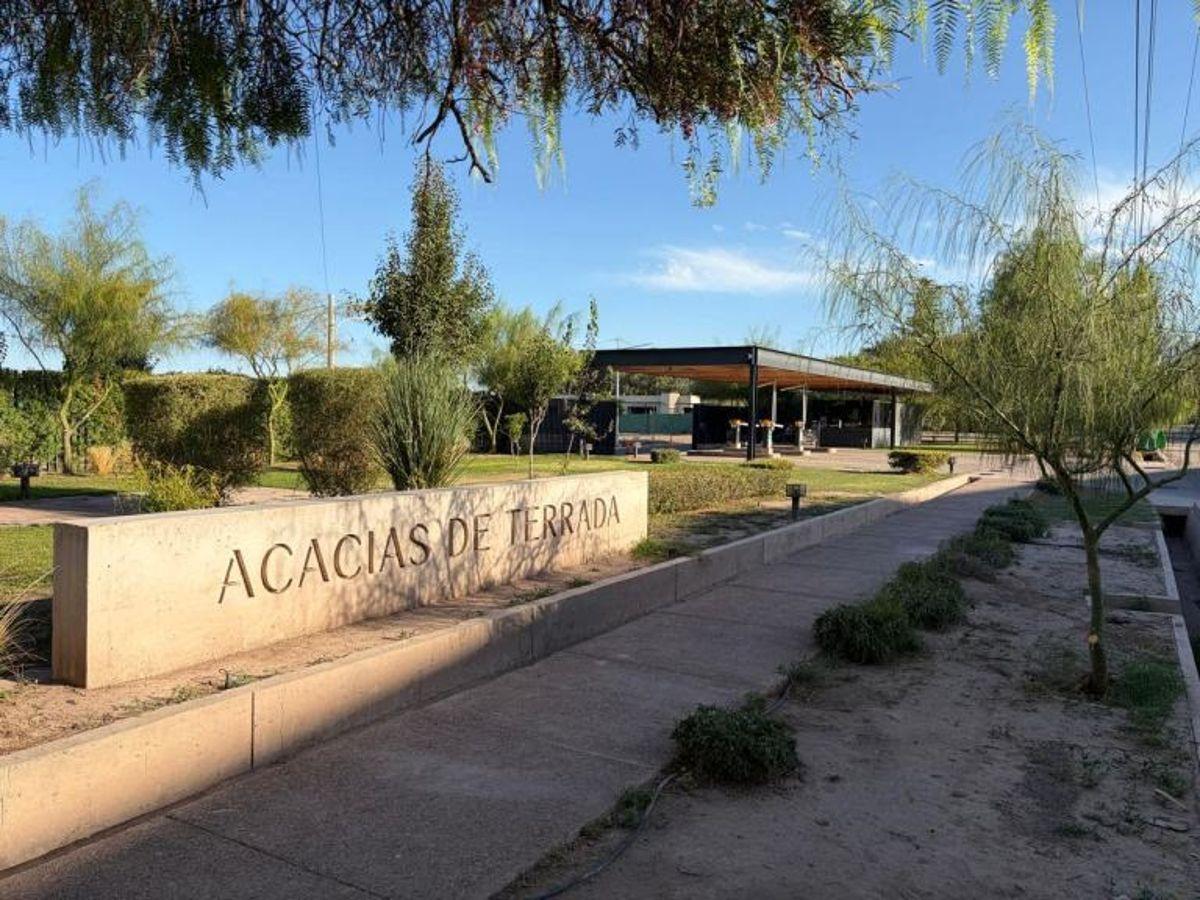 Foto de SUAREZ & ORTEGA INMOBILIARIA VENDE, imagen 4