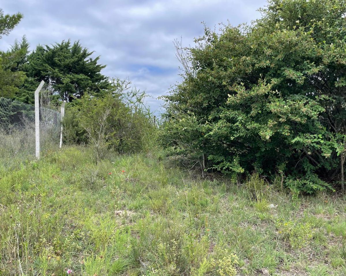 Terreno en Venta - Villa Giardino Centro 4