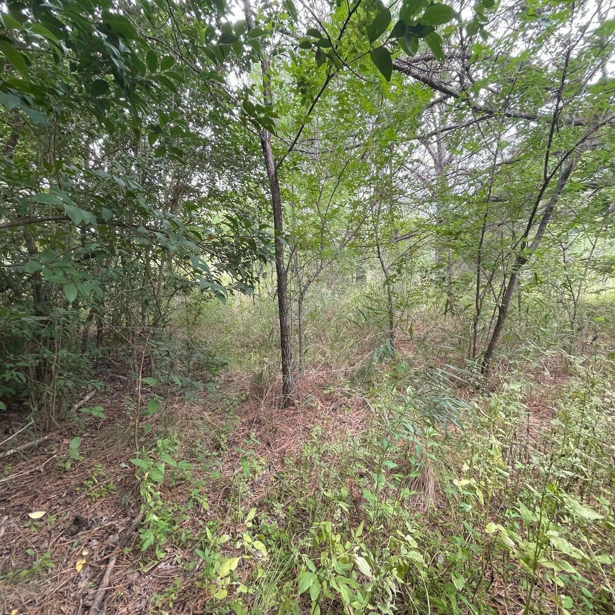 Terreno en Venta - Casa Grande 4