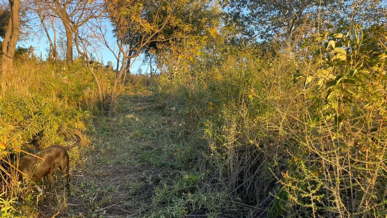 Terreno en oportunidad-Valle Hermoso 2