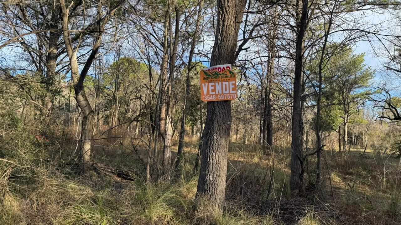 Foto de Terreno en venta- Casa Grande, imagen 1