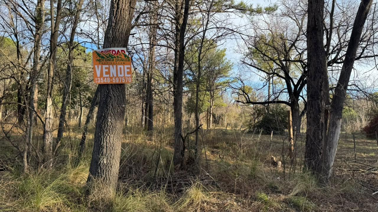 Foto de Terreno en venta- Casa Grande, imagen 4