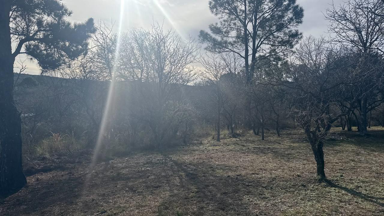 Foto de Terreno en venta - oportunidad- Casa Grande, imagen 4