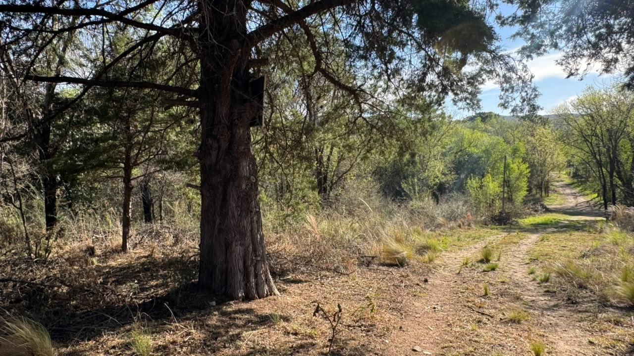 Foto de Terreno en venta- Oportnidad- Casa Grande, imagen 3